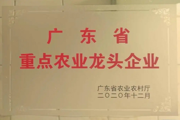 广东省重点农业龙头企业申报，截止5月31日！
