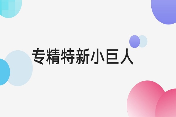 专精特新小巨人认定标准是什么，专精特新小巨人申报条件