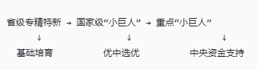 从“小巨人”到重点“小巨人”：2026年广东梯度培育体系全解读，三批支持政策有何不同？