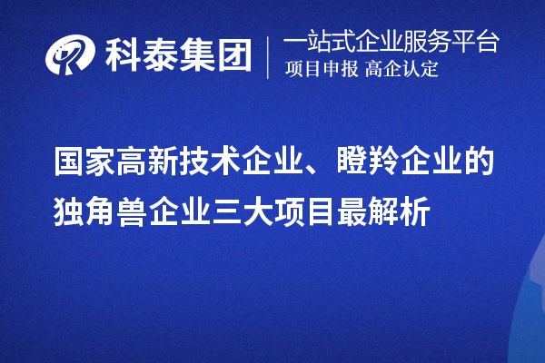 国家高新技术企业、瞪羚企业的独角兽企业三大项目最解析