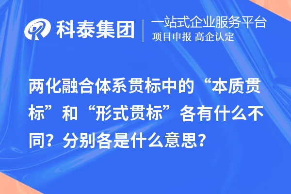 两化融合体系贯标中的“本质贯标”和“形式贯标”各有什么不同？分别各是什么意思？