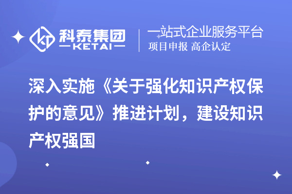 深入实施《关于强化知识产权保护的意见》推进计划，建设知识产权强国