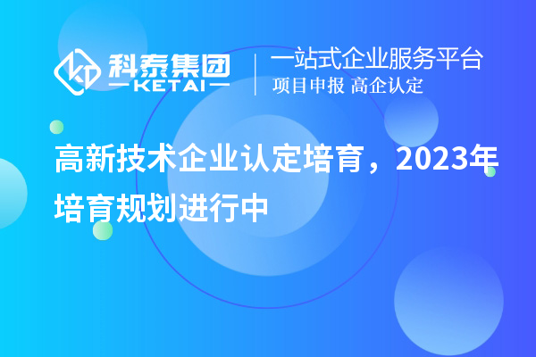 高新技术企业认定培育，2023年培育规划进行中