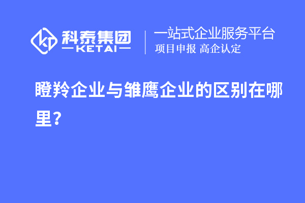 瞪羚企业与雏鹰企业的区别在哪里？