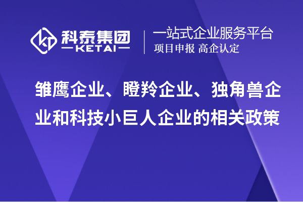 雏鹰企业、瞪羚企业、独角兽企业和科技小巨人企业的相关政策