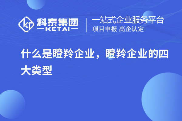 什么是瞪羚企业,瞪羚企业的四大类型
