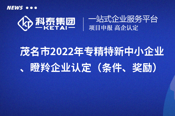 茂名市2022年专精特新中小企业、瞪羚企业认定（条件、奖励）