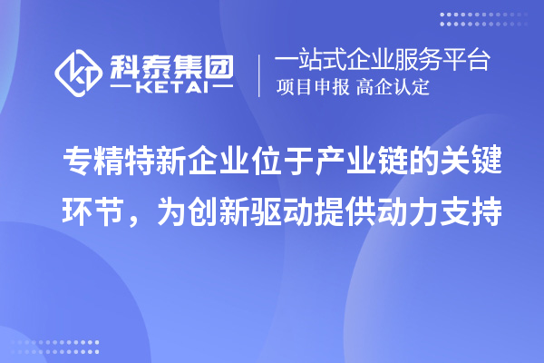专精特新企业位于产业链的关键环节，为创新驱动提供动力支持