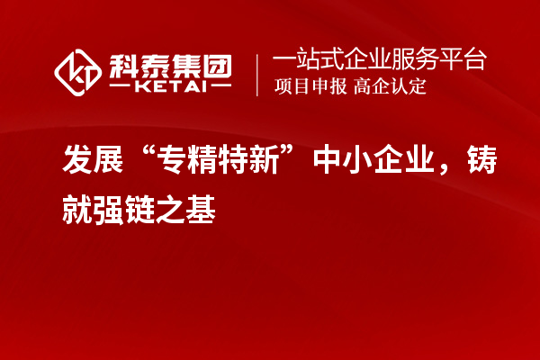 发展“专精特新”中小企业，铸就强链之基