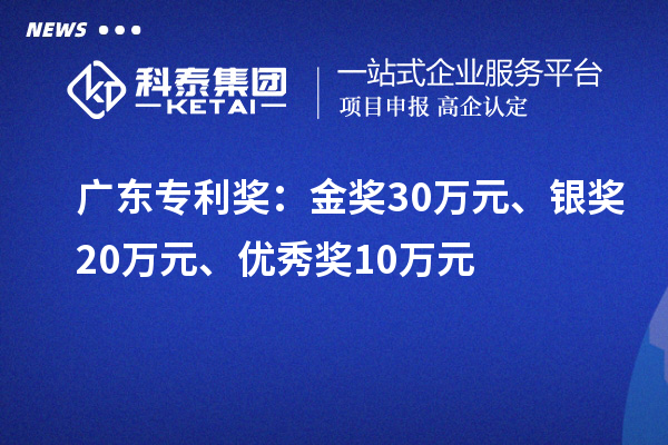 广东专利奖：金奖30万元、银奖20万元、优秀奖10万元（省级）
