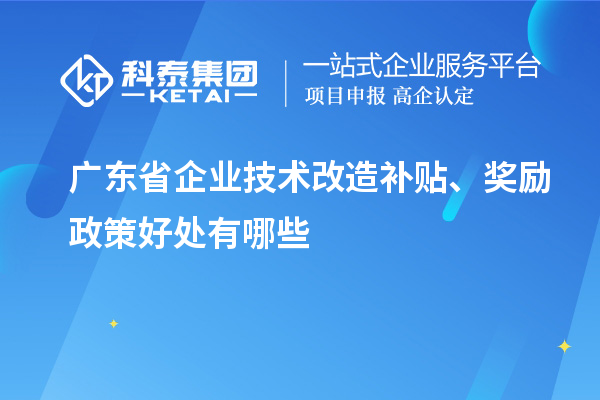 广东省企业技术改造补贴、奖励政策好处有哪些