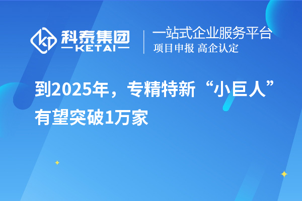 到2025年，专精特新“小巨人”有望突破1万家
