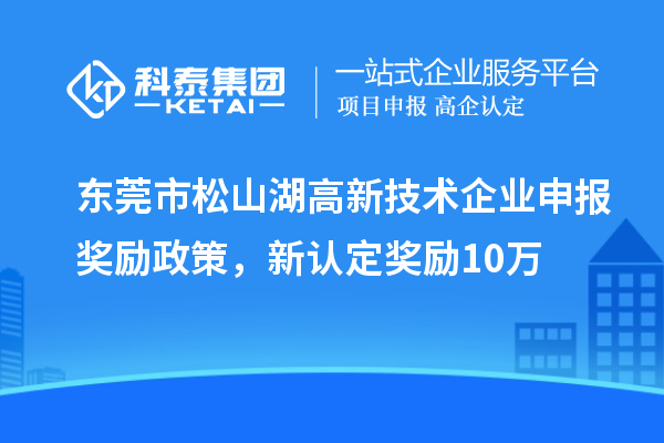东莞市松山湖高新技术企业申报奖励政策，新认定奖励10万