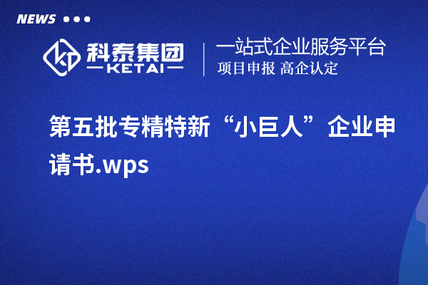 第五批专精特新“小巨人”企业申请书.wps