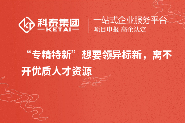“专精特新”想要领异标新，离不开优质人才资源