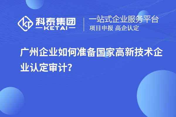 广州企业如何准备国家高新技术企业认定审计?