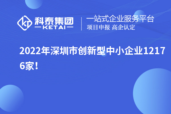 2022年深圳市创新型中小企业12176家！