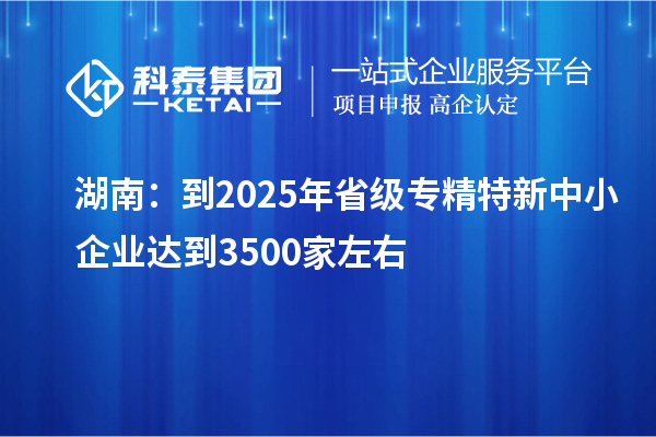 湖南:到2025年省级专精特新中小企业达到3500家左右