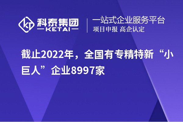 截止2022年，全国有专精特新“小巨人”企业8997家