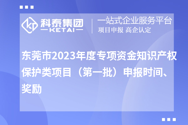 东莞市2023年度专项资金知识产权?；だ嘞钅浚ǖ谝慌┥瓯ㄊ奔洹⒔崩? style=