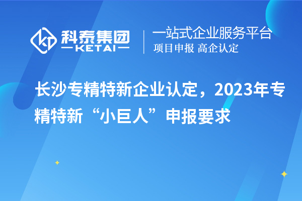 长沙专精特新企业认定，2023年专精特新“小巨人”申报要求