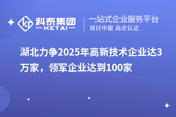 湖北力争2025年高新技术企业达3万家，领军企业达到100家