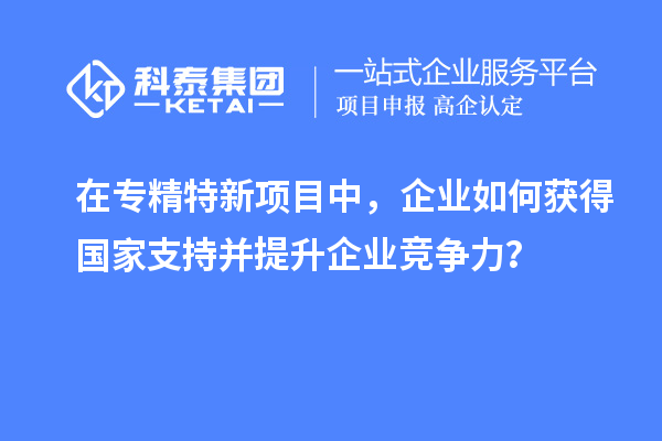 在专精特新项目中，企业如何获得国家支持并提升企业竞争力？