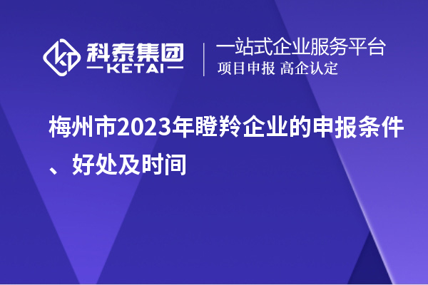 梅州市2023年瞪羚企业的申报条件、好处及时间