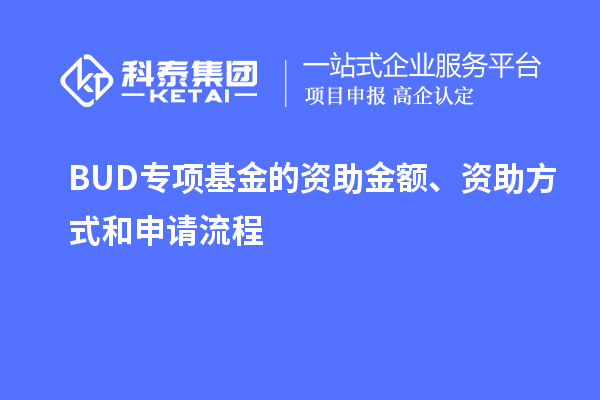 BUD专项基金的资助金额、资助方式和申请流程