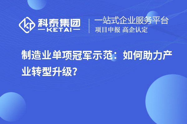 制造业单项冠军示范：如何助力产业转型升级？