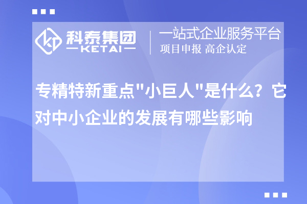 专精特新重点小巨人是什么？它对中小企业的发展有哪些影响