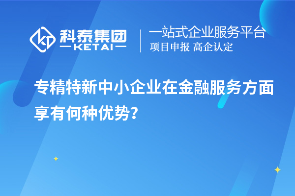 专精特新中小企业在金融服务方面享有何种优势？