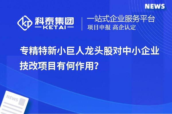 专精特新小巨人龙头股对中小企业技改项目有何作用？