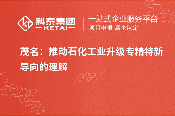茂名:推动石化工业升级专精特新导向的理解