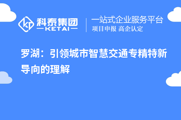 罗湖:引领城市智慧交通专精特新导向的理解