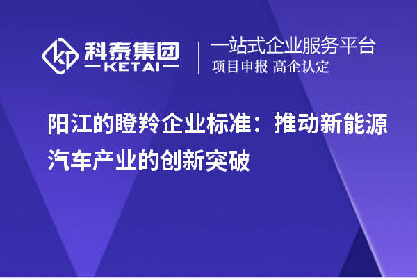 阳江的瞪羚企业标准:推动新能源汽车产业的创新突破