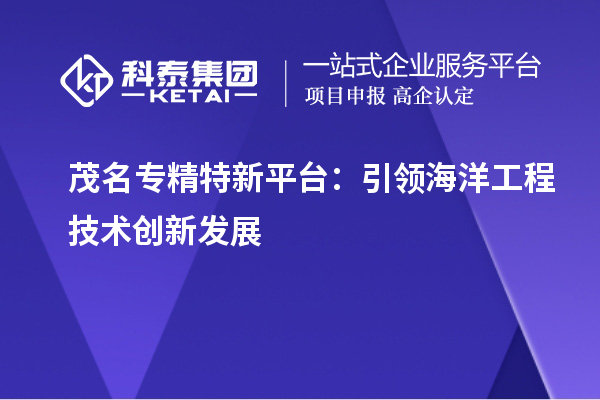 茂名专精特新平台:引领海洋工程技术创新发展