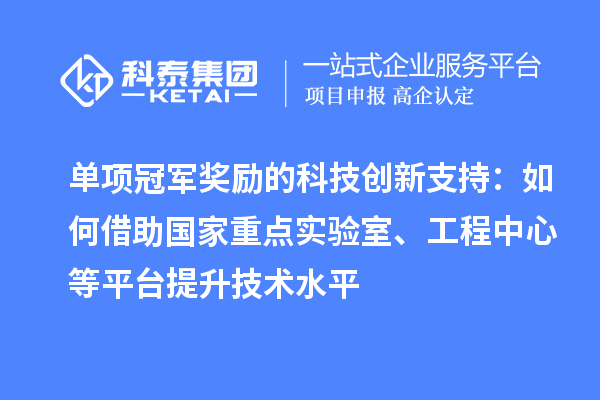 单项冠军奖励的科技创新支持:如何借助国家重点实验室、工程中心等平台提升技术水平