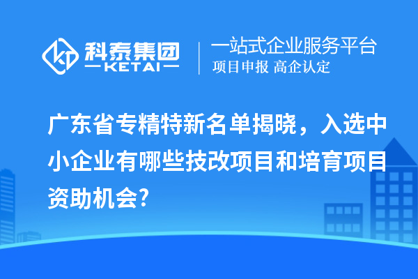 广东省专精特新名单揭晓,入选中小企业有哪些技改项目和培育项目资助机会?