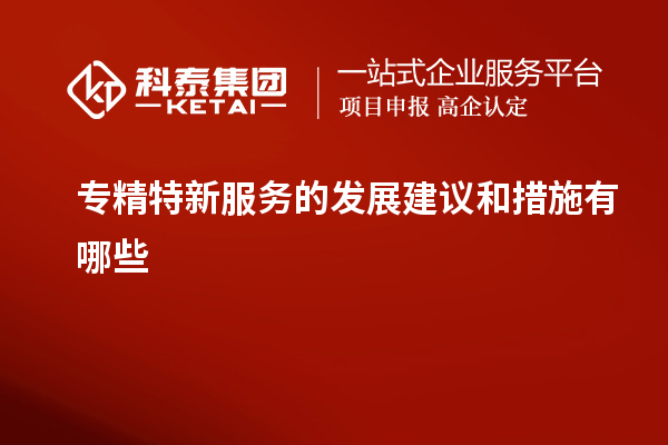 专精特新服务的发展建议和措施有哪些