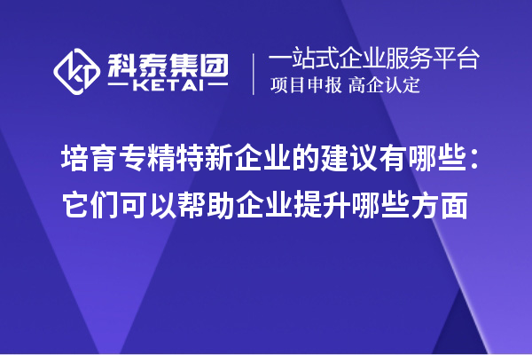 培育专精特新企业的建议有哪些:它们可以帮助企业提升哪些方面