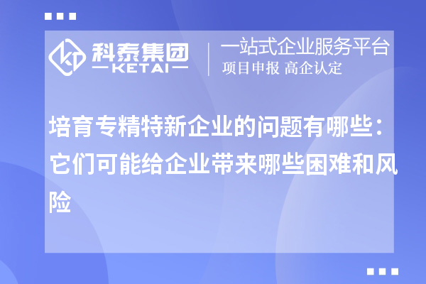 培育专精特新企业的问题有哪些:它们可能给企业带来哪些困难和风险