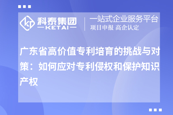 广东省高价值专利培育的挑战与对策：如何应对专利侵权和?；ぶ恫? style=
