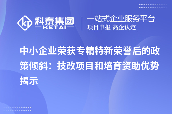 中小企业荣获专精特新荣誉后的政策倾斜:<a href=http://m.1ys1w.cn/fuwu/jishugaizao.html target=_blank class=infotextkey>技改</a>项目和培育资助优势揭示