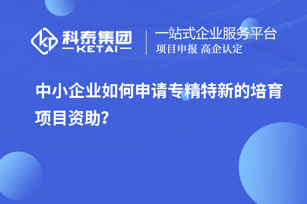 中小企业如何申请专精特新的培育项目资助？
