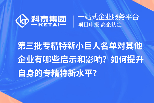 第三批专精特新小巨人名单对其他企业有哪些启示和影响？如何提升自身的专精特新水平？