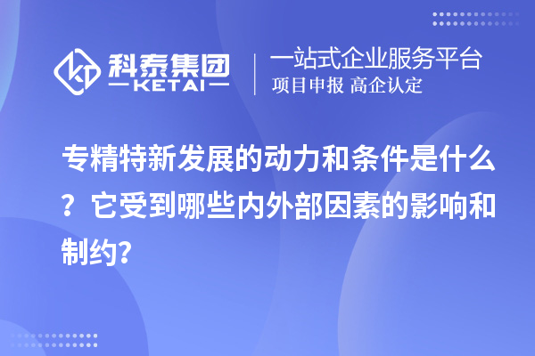 专精特新发展的动力和条件是什么？它受到哪些内外部因素的影响和制约？