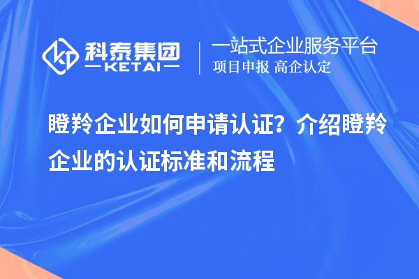 瞪羚企业如何申请认证？介绍瞪羚企业的认证标准和流程