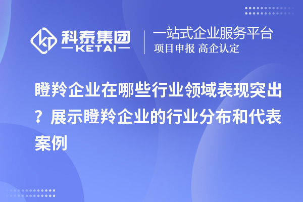 瞪羚企业在哪些行业领域表现突出？展示瞪羚企业的行业分布和代表案例