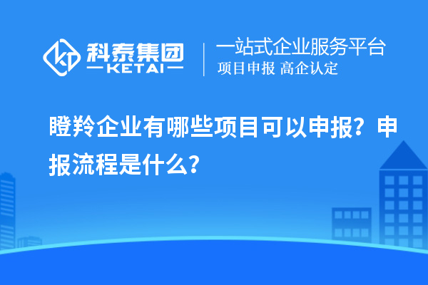 瞪羚企业有哪些项目可以申报？申报流程是什么？